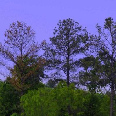 AOA体育登录入口